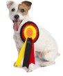 ����� �� ��������� ����� EliteDogs