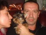Владимир Машков купил щенка йоркширского терьера у нас в питомнике